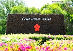 �}�E�i �P�A �r�[�` �z�e��